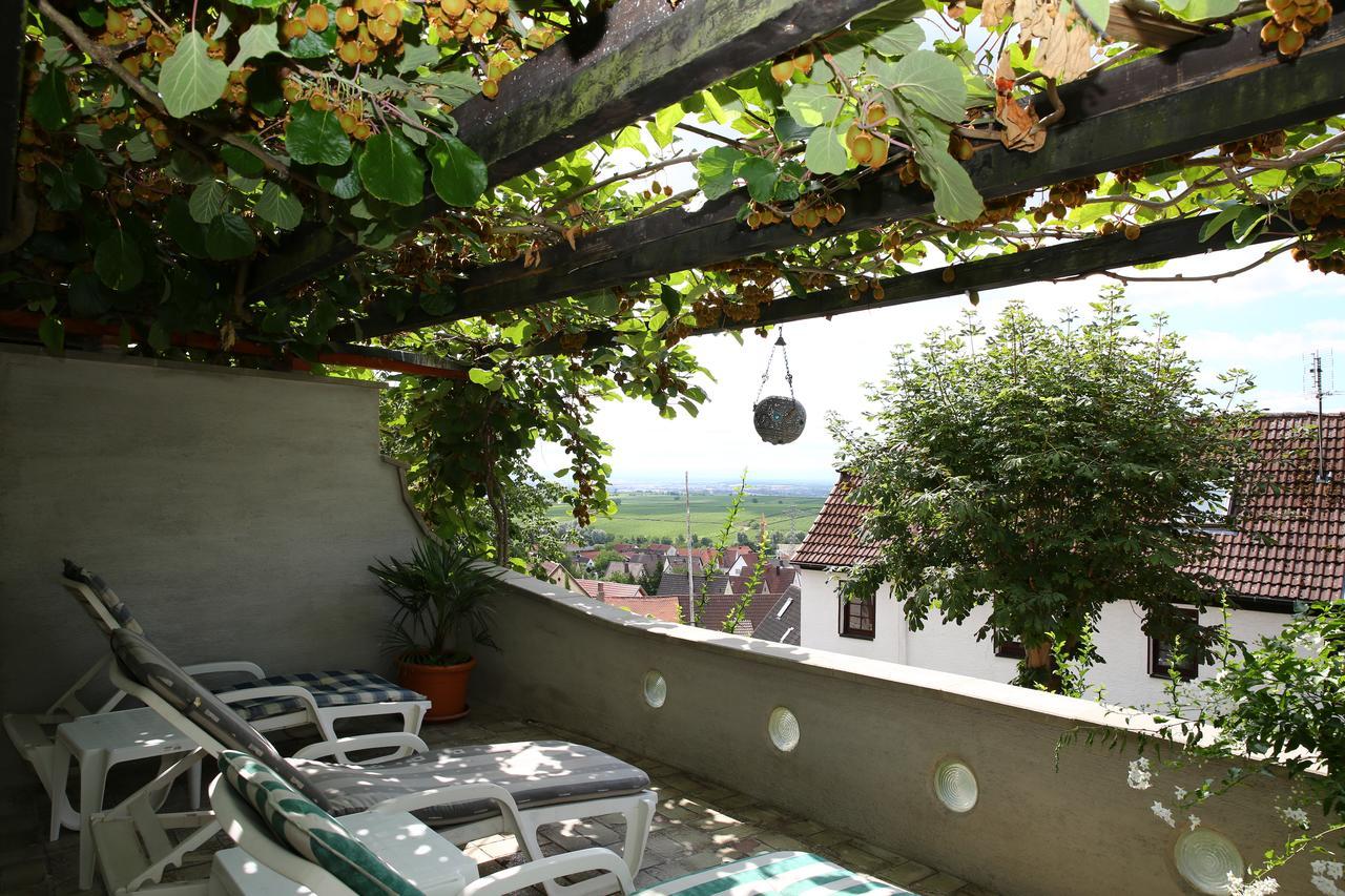 Hotel Pension Weinberg mit Landhaus Nizza Gleisweiler Esterno foto