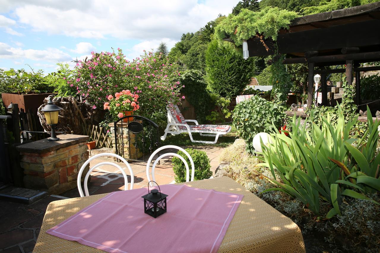 Hotel Pension Weinberg mit Landhaus Nizza Gleisweiler Esterno foto